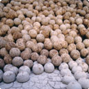 Project-Image-2